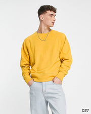 Basic Pastel Sweatshirts - 037